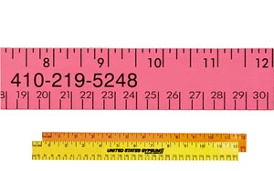 12 Inch School Ruler (sixteenths)