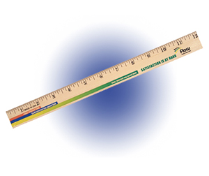 12 Inch School Ruler (sixteenths)