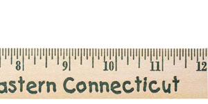 12 Inch School Ruler (sixteenths)